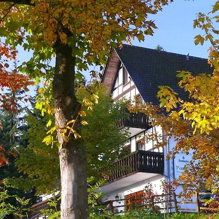 Pension Stiegelmeier Винтерберг Экстерьер фото